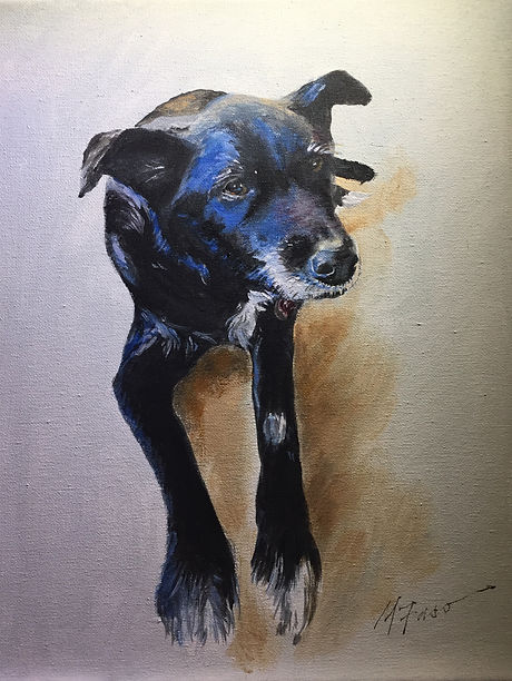 tuxedo_11x14.jpeg