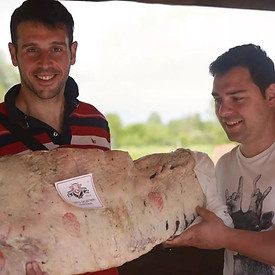 WhatsApp Image 2022-09-26 at 18.30.47.jpeg