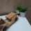 Thumbnail: Wooden Toy Jeep hand crafted hand painted Food Colour on medicinal wood