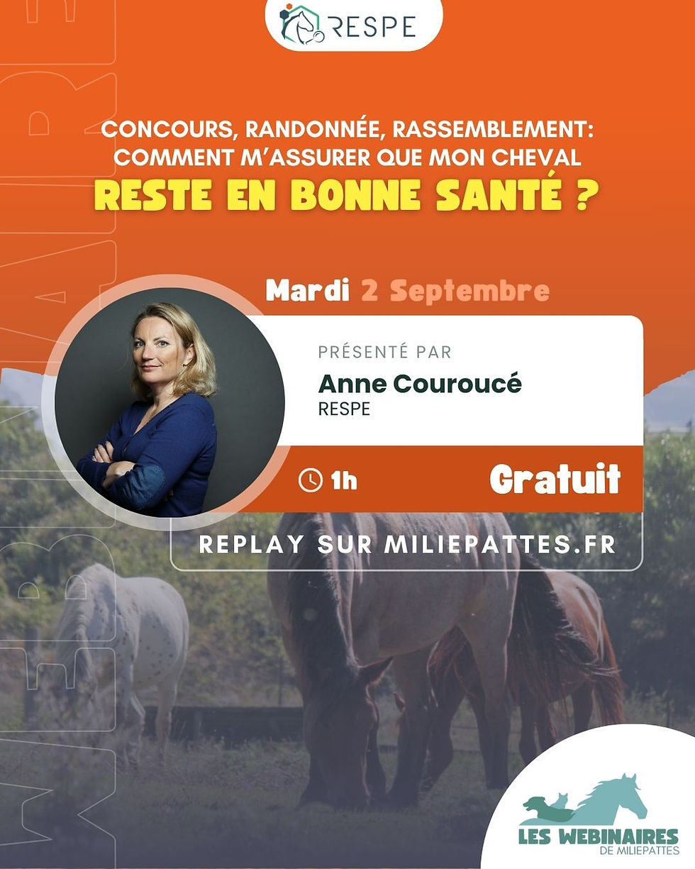 Concours, randonnée en groupe, rassemblement : comment m’assurer que mon cheval reste en bonne santé ?