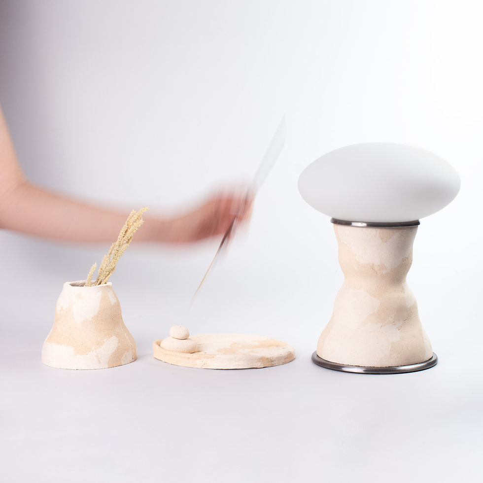 Burntshell: Reshaped Collection