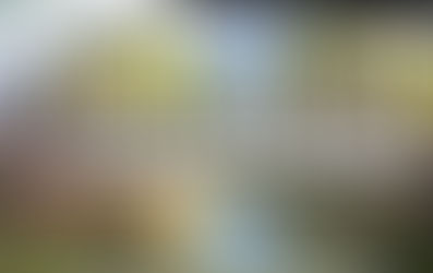 VITTORITO: BOOM DI ISCRITTI PER LA PRIMA DI COPPA ITALIA FISE E CIRCUITI GIOVANI CAVALLI