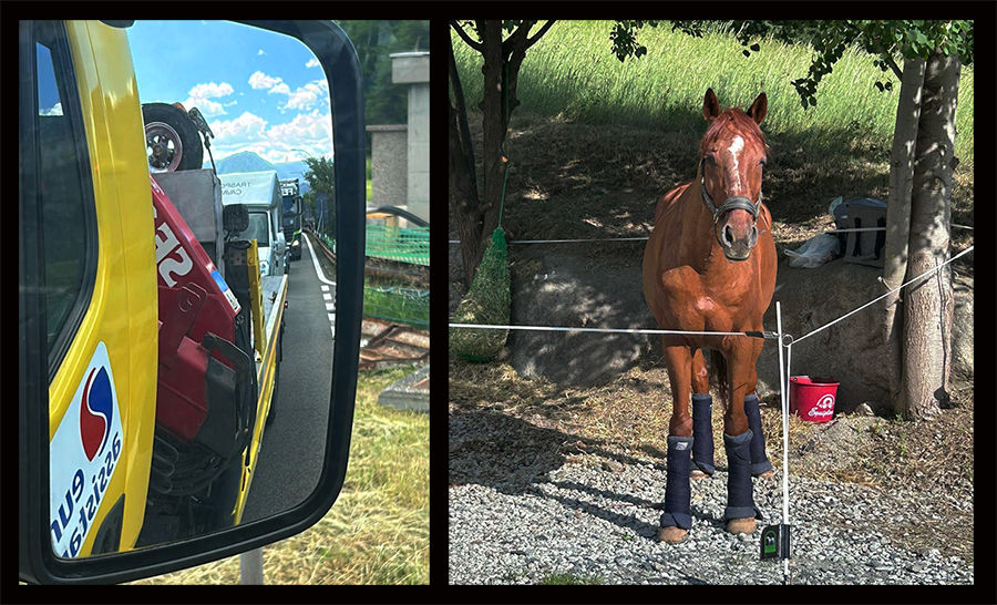 Van in carroattrezzi e cavallo in paddock!