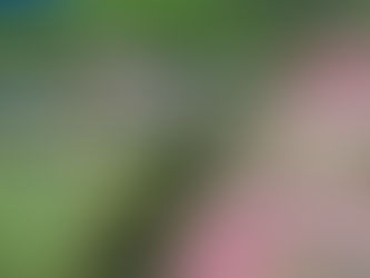 SARDEGNA ENDURANCE FESTIVAL 2023: RINGRAZIAMENTI A BOCCE FERME