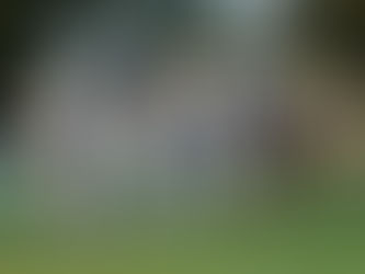 OLTRE 200 CAVALLI DIREZIONE ROCCA DI PAPA PER LA COPPA DELLE REGIONI 2025