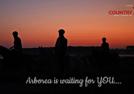 IL CIRCUITO FISE E COPPA ITALIA GIOVANI CAVALLI FA ROTTA SULLA SARDEGNA