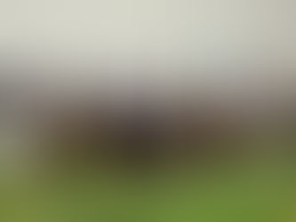 LA FINALE MASAF: A MARINA DI PISA BATTE IL CUORE DEL CAVALLO ITALIANO