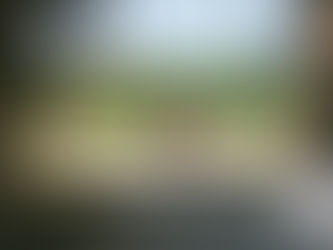 A RIVAROSSA (TO) IN SCENA IL CAMPIONATO PONY