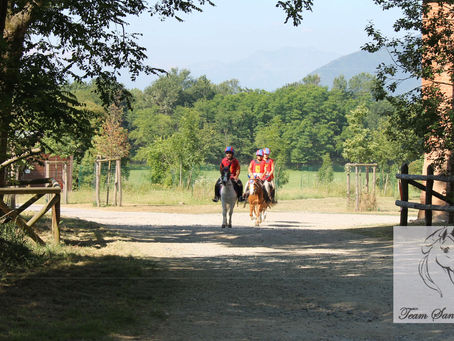 A RIVAROSSA (TO) IN SCENA IL CAMPIONATO PONY