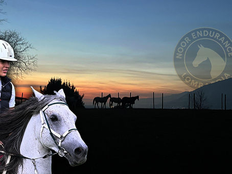 Da questa decisione nasce e si sviluppa la sua attività, con Noor Horse Trek come realtà principale e attiva sul territorio, affiancata negli ultimi mesi dal progetto ASD Noor Endurance, costruito insieme al medico veterinario Riccardo Rusconi, suo compagno.