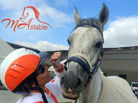 L’ENDURANCE È UNO SPORT DI CONTRASTI...MA...