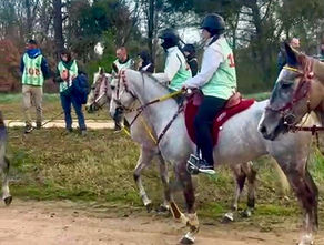GALANTINO E ABBRUZZESE BENE IN SPAGNA E FRANCIA