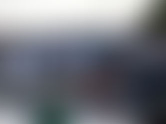 80 CAVALLI FANNO ROTTA SUL GOLFO DI ORISTANO