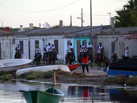 80 CAVALLI FANNO ROTTA SUL GOLFO DI ORISTANO