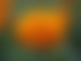 The Rise of Warm Tones: Embracing Cinnamon and Marigold as New Neutrals for Women of Color