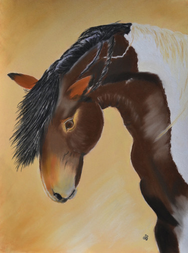"Wild Mustang" Fine Art By Jules Chabeaux