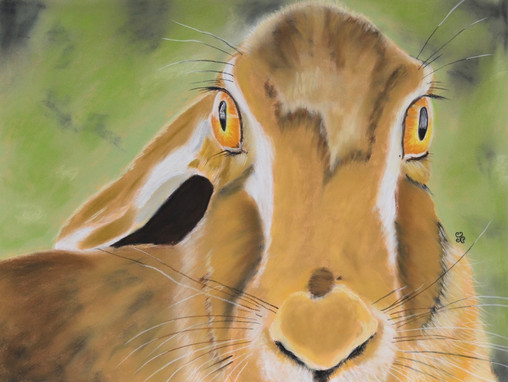 "Ancient Hare Wisdom" Fine Art By Jules Chabeaux