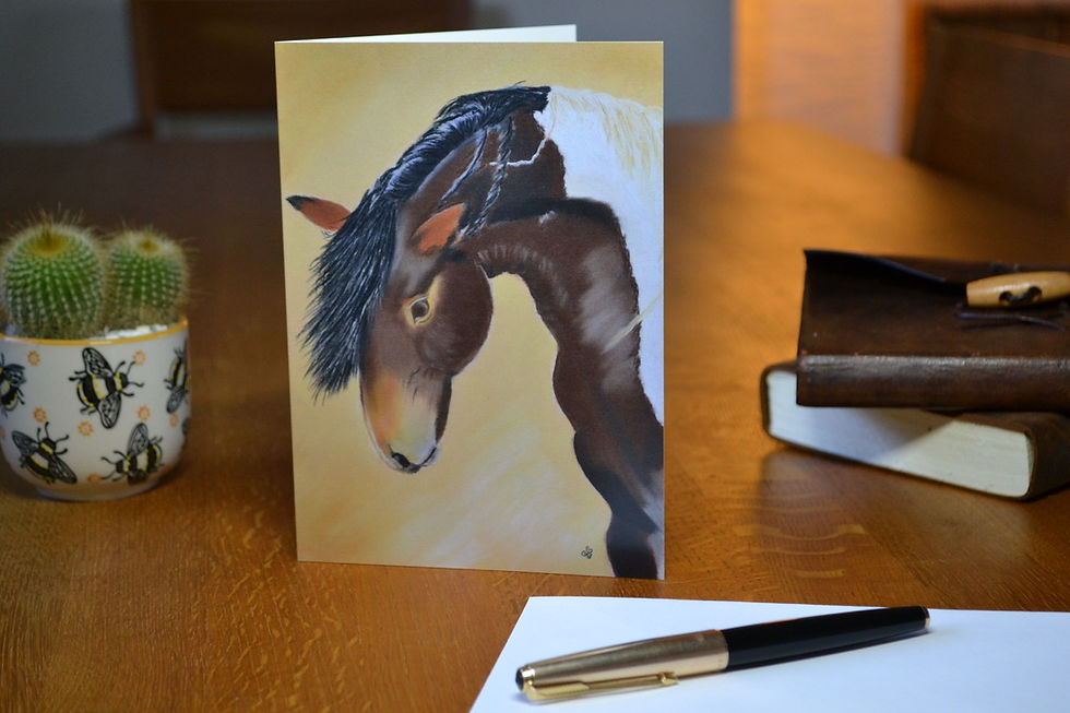 "Wild Mustang" Card Packs