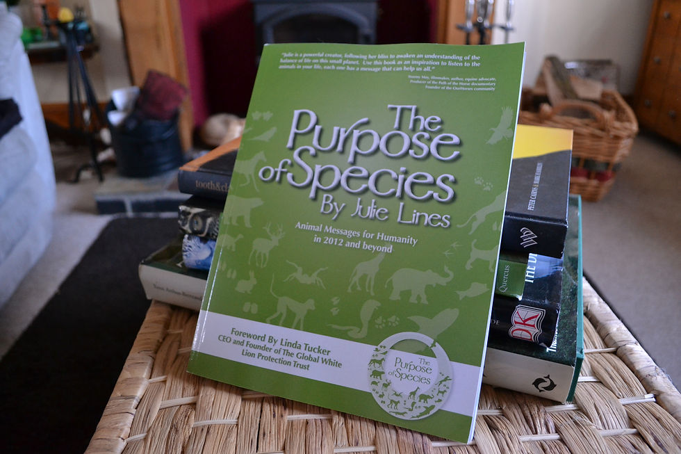 Thumbnail: The Purpose of Species Book