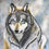 Thumbnail: "Grey Wolf Wisdom" Prints