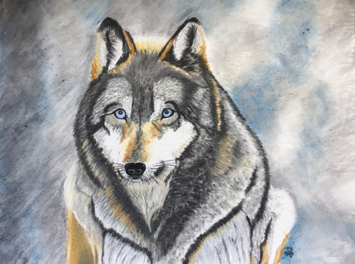 "Grey Wolf Wisdom" Fine Art By Jules Chabeaux