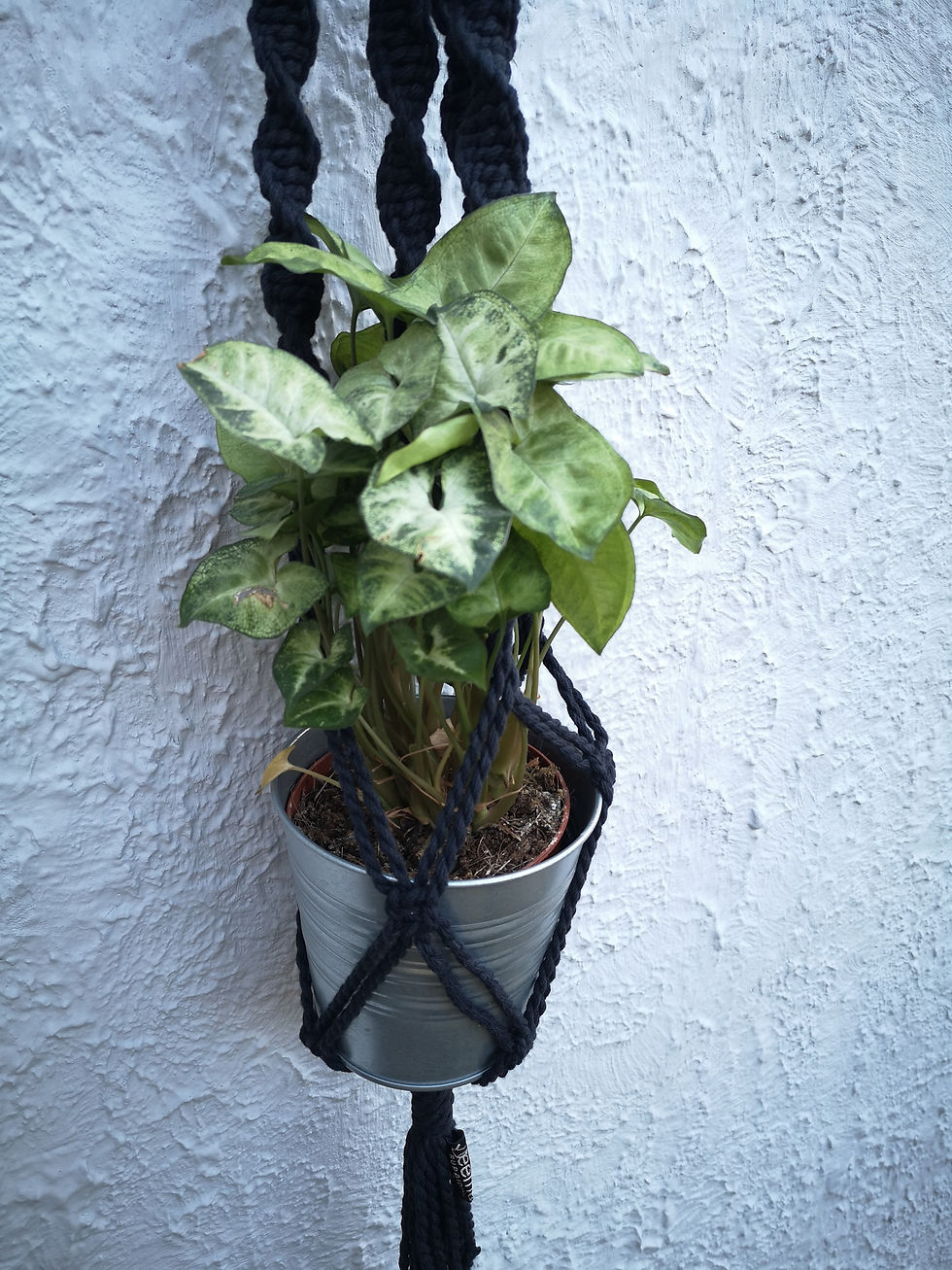 Plant Hanger : Archana (large) Black