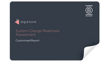 system-change-readiness-assessment-report-cover.png