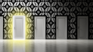 System selection for NFPs: Why the best is not always right