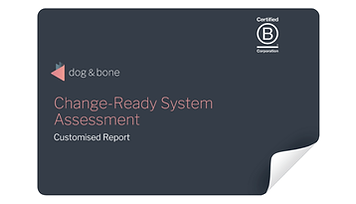 Change-ready-system-assessment-dog-and-bone-consulting-featured-image.png