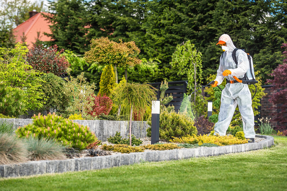 beautiful-garden-fertilization-job-2026-03-24-23-55-02-utc.jpeg