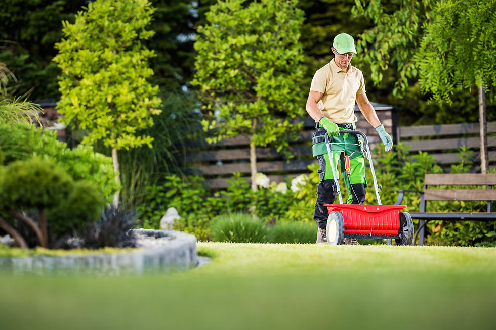 professional-gardener-with-lawn-and-garden-seed-sp-2026-03-23-22-55-07-utc.jpg