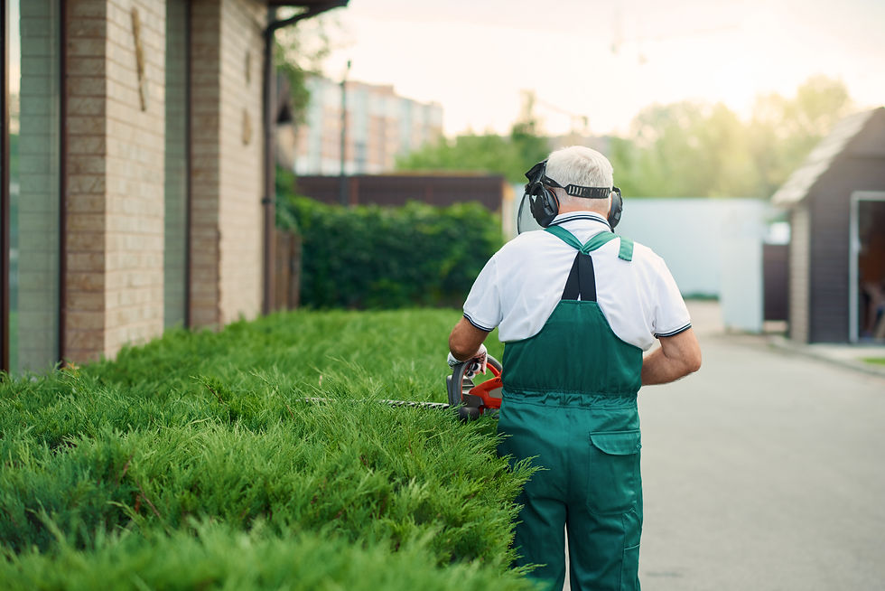unrecognizable-senior-man-cutting-bushes-2026-03-24-21-57-53-utc.JPG