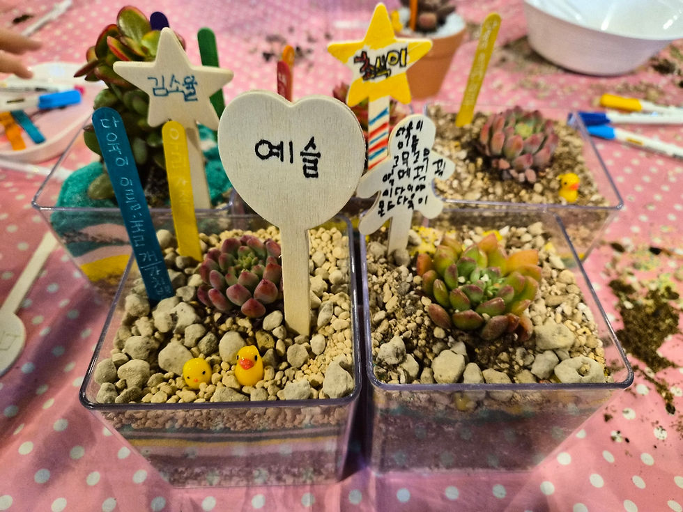 테라리움 만들기