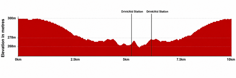 10km Elevation.png