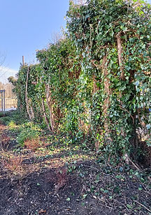 IMG20220218101448.jpg