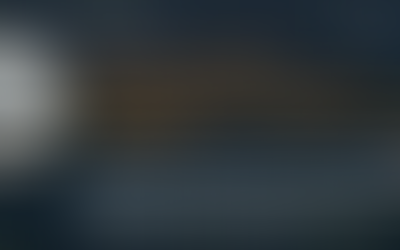 Article parut sur Vichy Economie