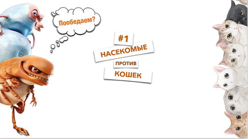 Идея оформления ролика