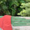 Thumbnail: Tohorā-Buy it on: OneOceanHawaii.Com/Shop