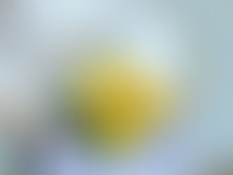 King & Princeへの愛を込めた花入りバルーン🎈🌻