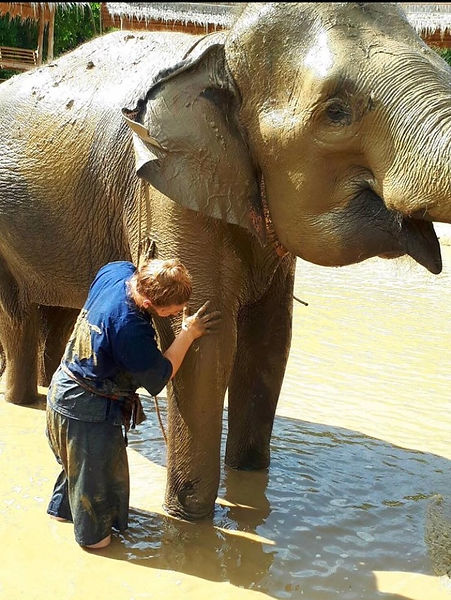 Nook after rescued with her new life at Elephants' Home & Nature in Kanchanaburi , near Bangkok, Thailand.