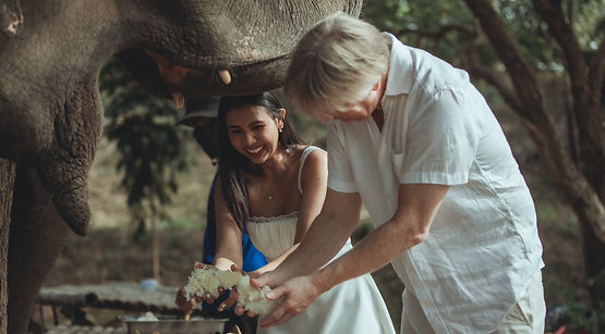 Lovers at Elephnants' Home & Nature for prewedding photos in Kanchanaburi, near Bangkok, Thailand.