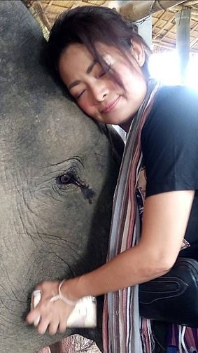 Nook and Tong crying together while healing Nook at Elephants' Home & Nature in Kanchanaburi , near Bangkok, Thailand.