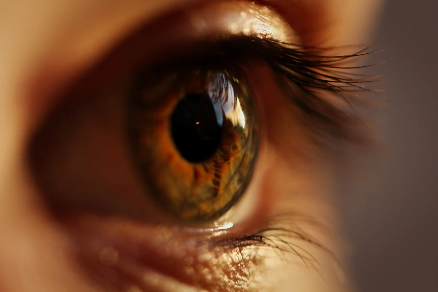New study reveals how tobacco from traditional or noncombusted cigarettes damages corneal cells