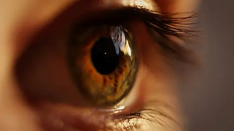 New study reveals how tobacco from traditional or noncombusted cigarettes damages corneal cells