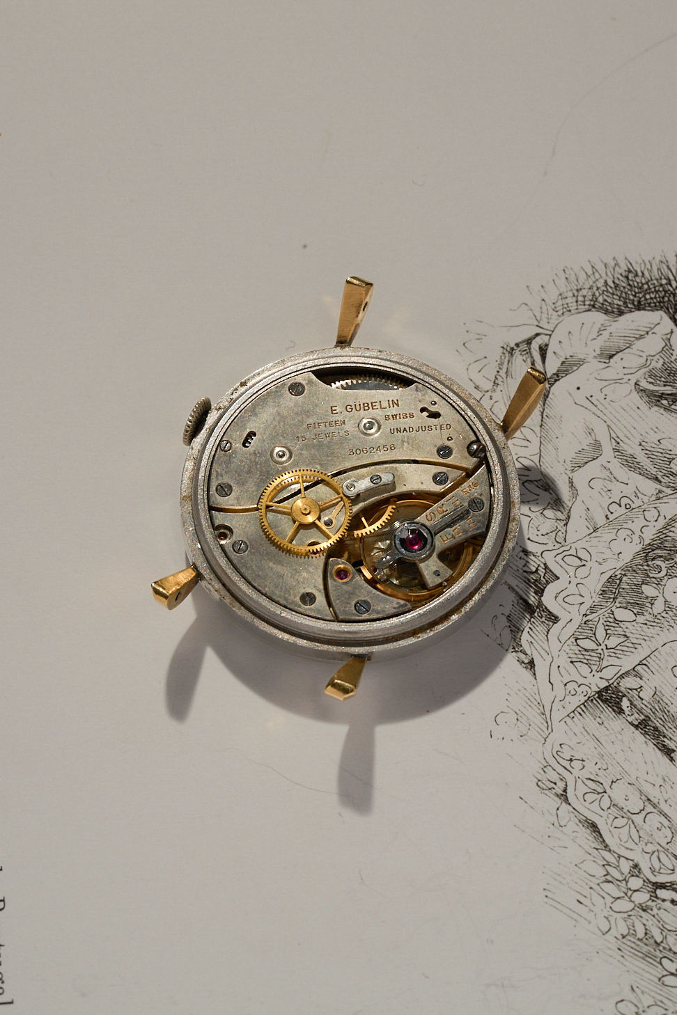 Thumbnail: Gubelin Lucerne tropical dial