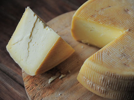 China Cheese Market Size, Share, Application Analysis, Regional Outlook, Growth Trends 2032