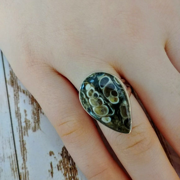 Thumbnail: Turritella Agate Ring