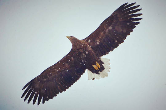 20200715_223528977_iOS (1).jpg