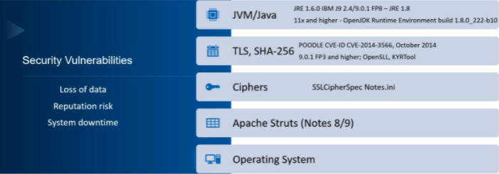 Blue chart listing security vulnerabilities: JVM/Java, TLS SHA-256, Ciphers, Apache Struts, Operating System. Risks: data loss, reputation.