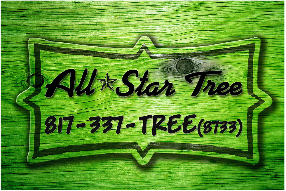 All Star Tree.jpeg